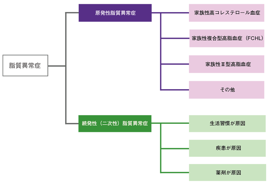 脂質異常症の原因別分類