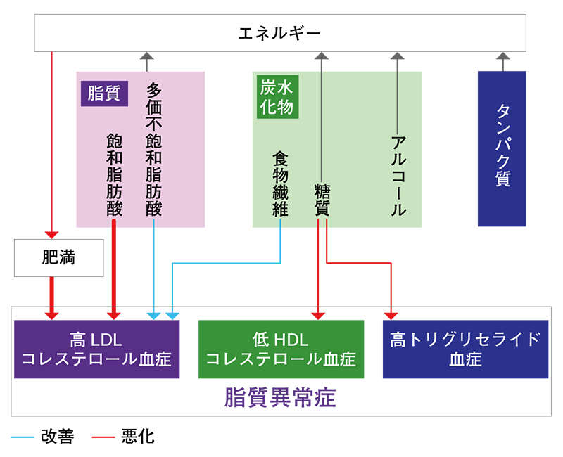 脂質異常症との関連が深い主なエネルギー・栄養素