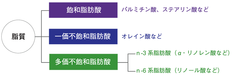 脂質の種類