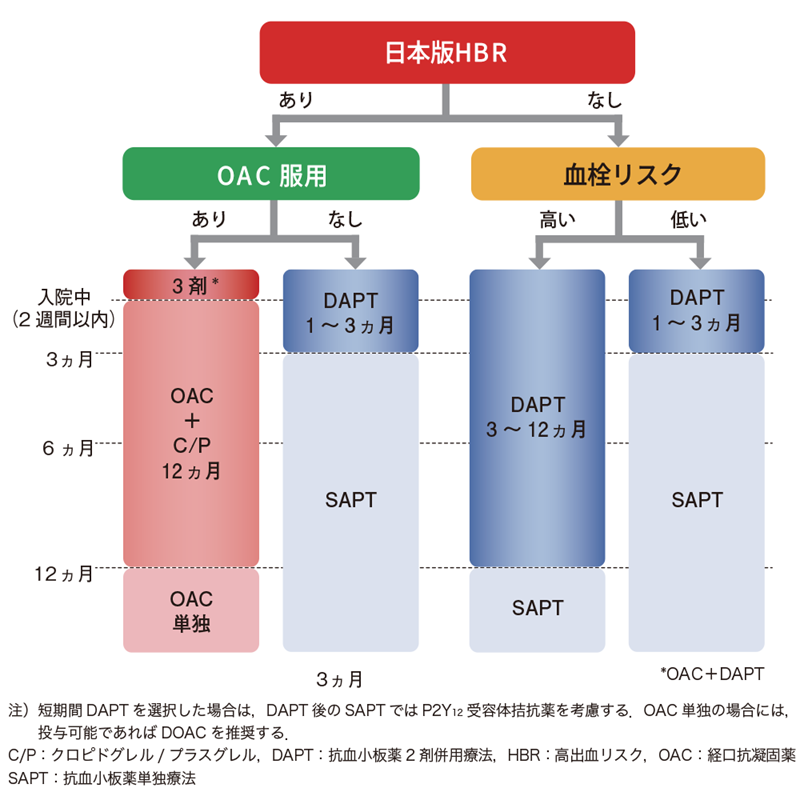高出血リスク（HBR）をふまえたPCI施行後の抗血栓療法